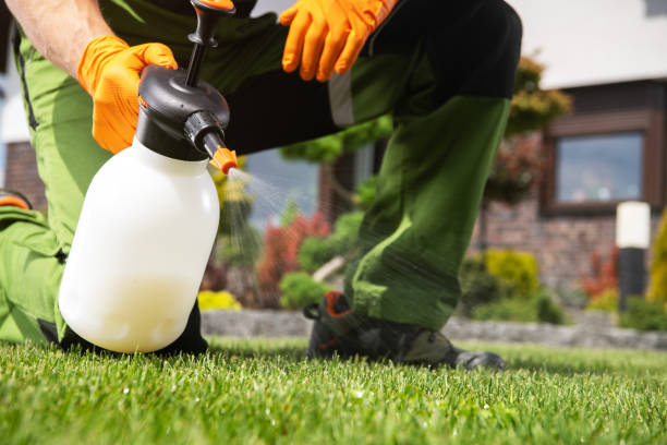 Best Local Pest Control Services  in Carnot Moon, PA