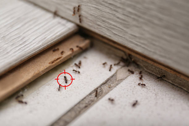 Best Wildlife Control Services  in Carnot Moon, PA