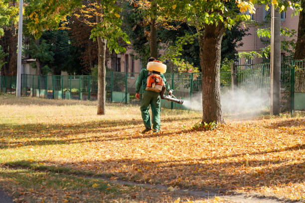Best Exterminator Services  in Carnot Moon, PA