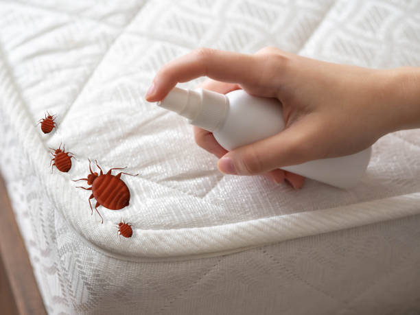 Best Bed Bug Extermination  in Carnot Moon, PA