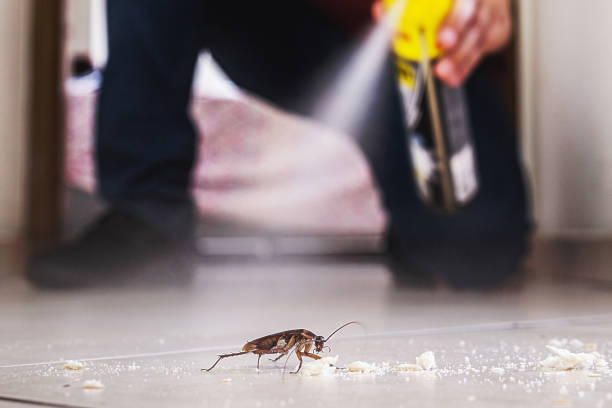 Best Flea Control Services  in Carnot Moon, PA