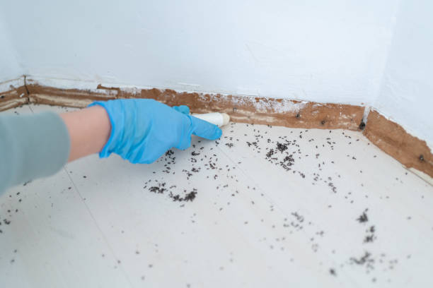 Best Wildlife Control Services  in Carnot Moon, PA